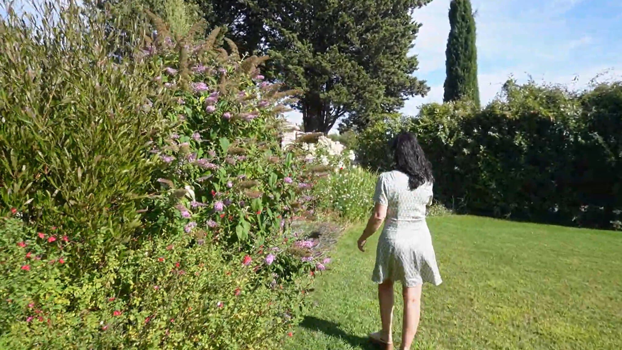 French designer in a Provence garden, inspiration for French-inspired garden design masterclass