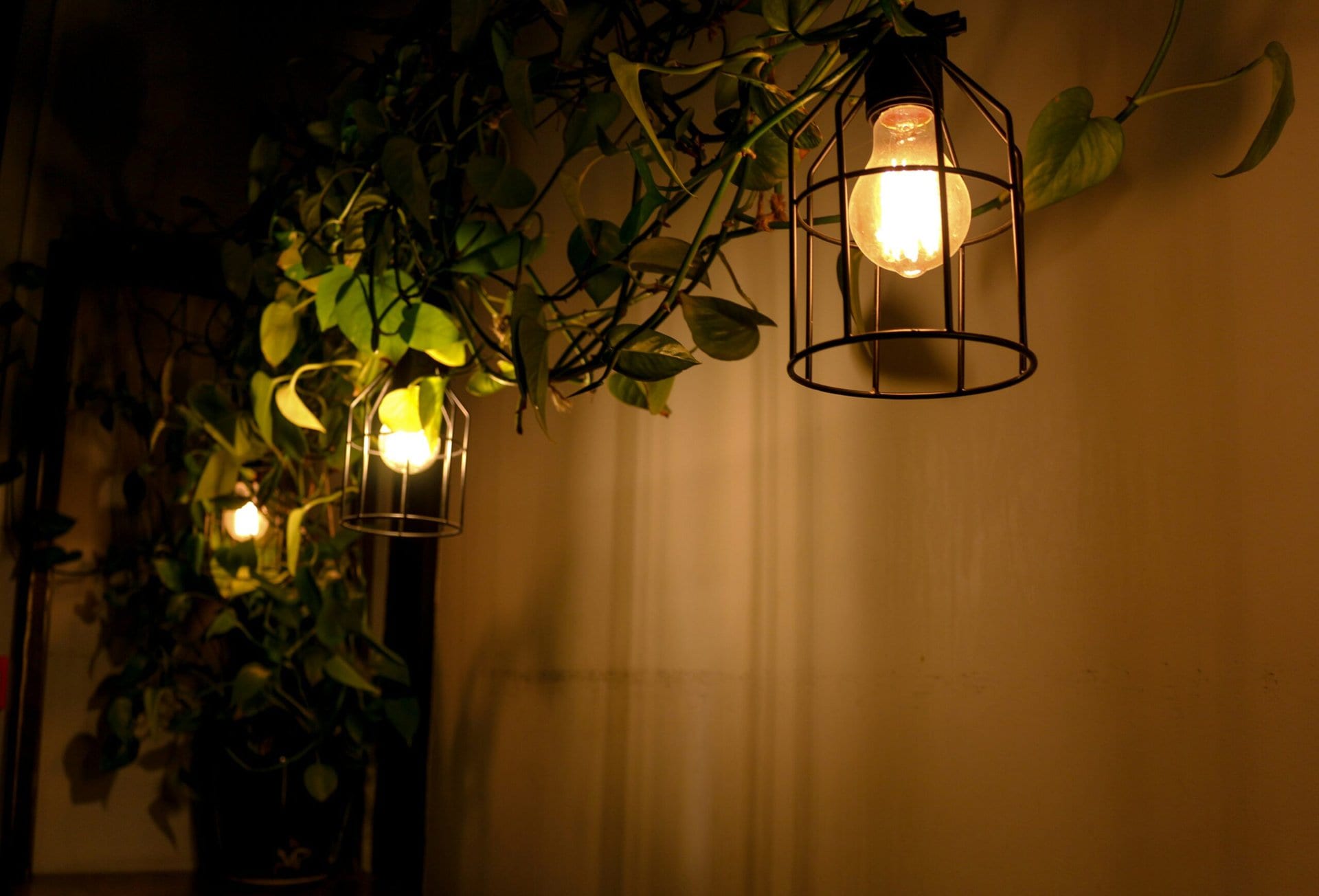 outdoor wall light illuminating a garden wall at night, elegant lighting inspiration for French-inspired garden design lesson